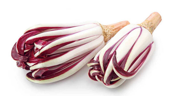 Radicchio Tardivo gr.250