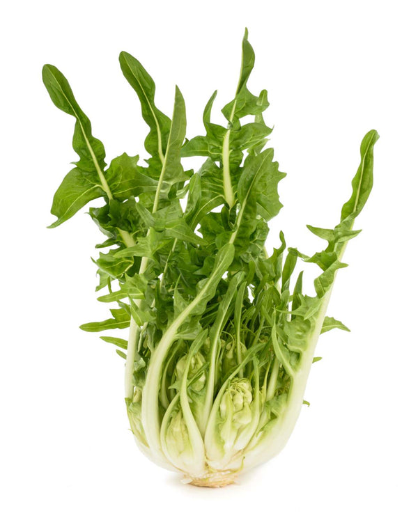 Cicoria Cimata Puntarelle 500gr